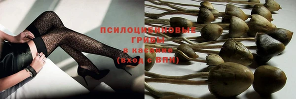 ECSTASY Балахна