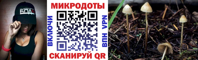Псилоцибиновые грибы мухоморы  Терек 